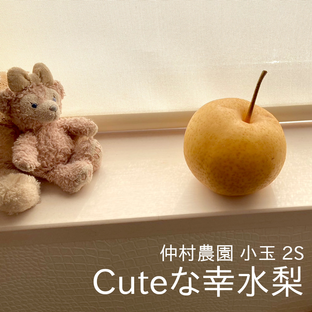 キュートな幸水梨 甘さも凝縮された2Sサイズがお値段もお買い得