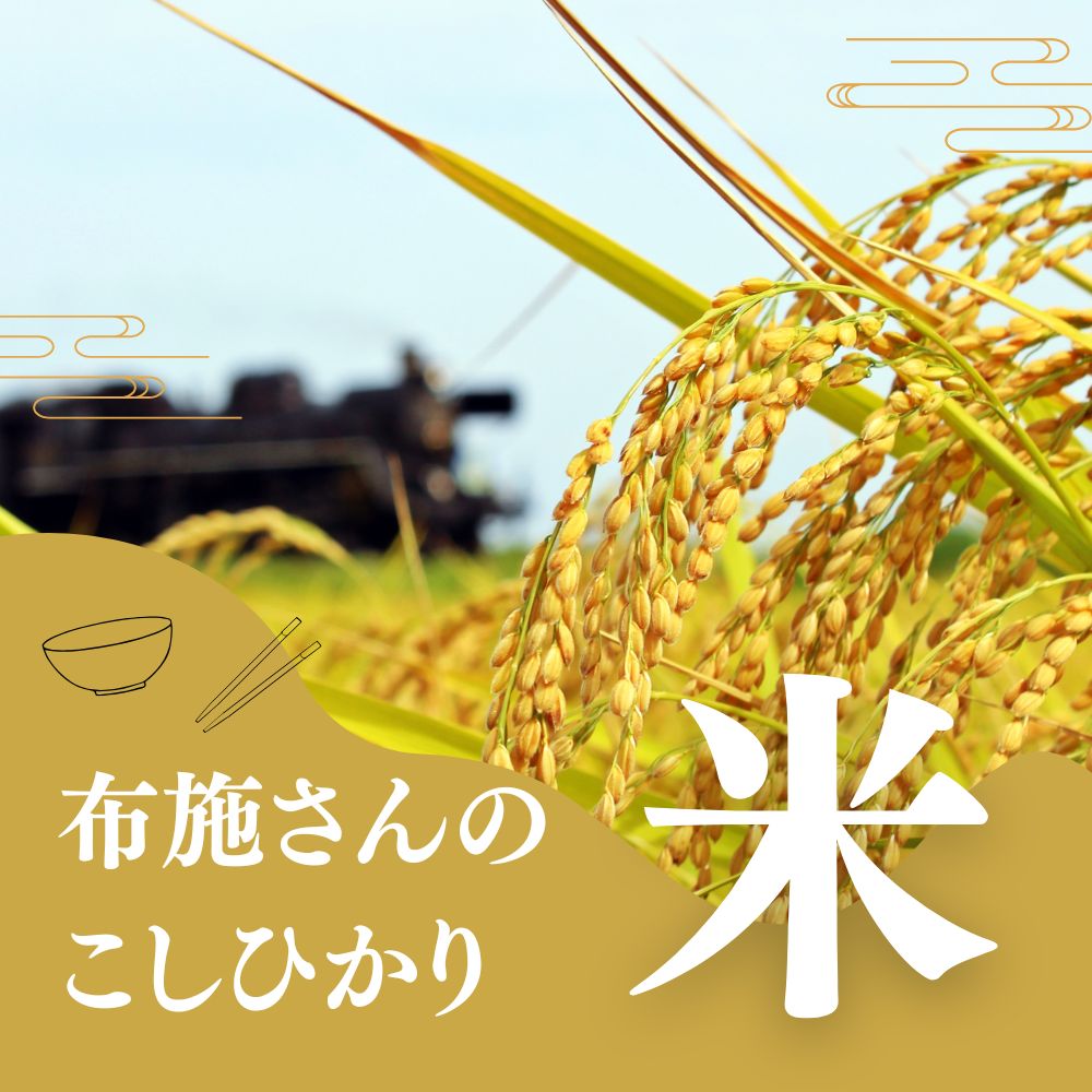 【送料無料】布施さんの新潟米 コシヒカリ 玄米 30kｇ 新潟県新潟市秋葉区産 生産者直送