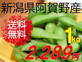 新潟県阿賀野産枝豆が1ｋｇ2289円送料無料！