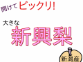 仲村農園の新潟産新興梨5ｋｇ