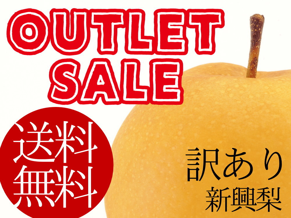 新興梨【訳あり梨】新潟産 送料無料《農園直売》5kg - 新潟仲村農園 新興梨【訳あり梨】新潟産 送料無料《農園直売》5kg - 新潟仲村農園