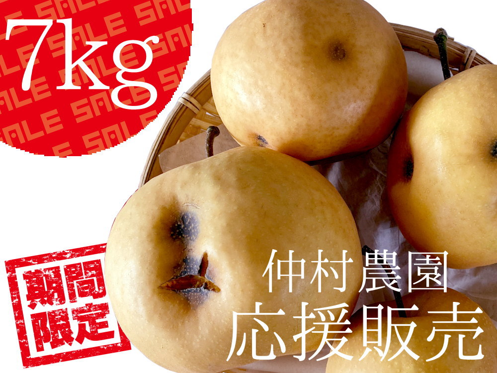 仲村農園応援販売、訳あり新高梨7キロ