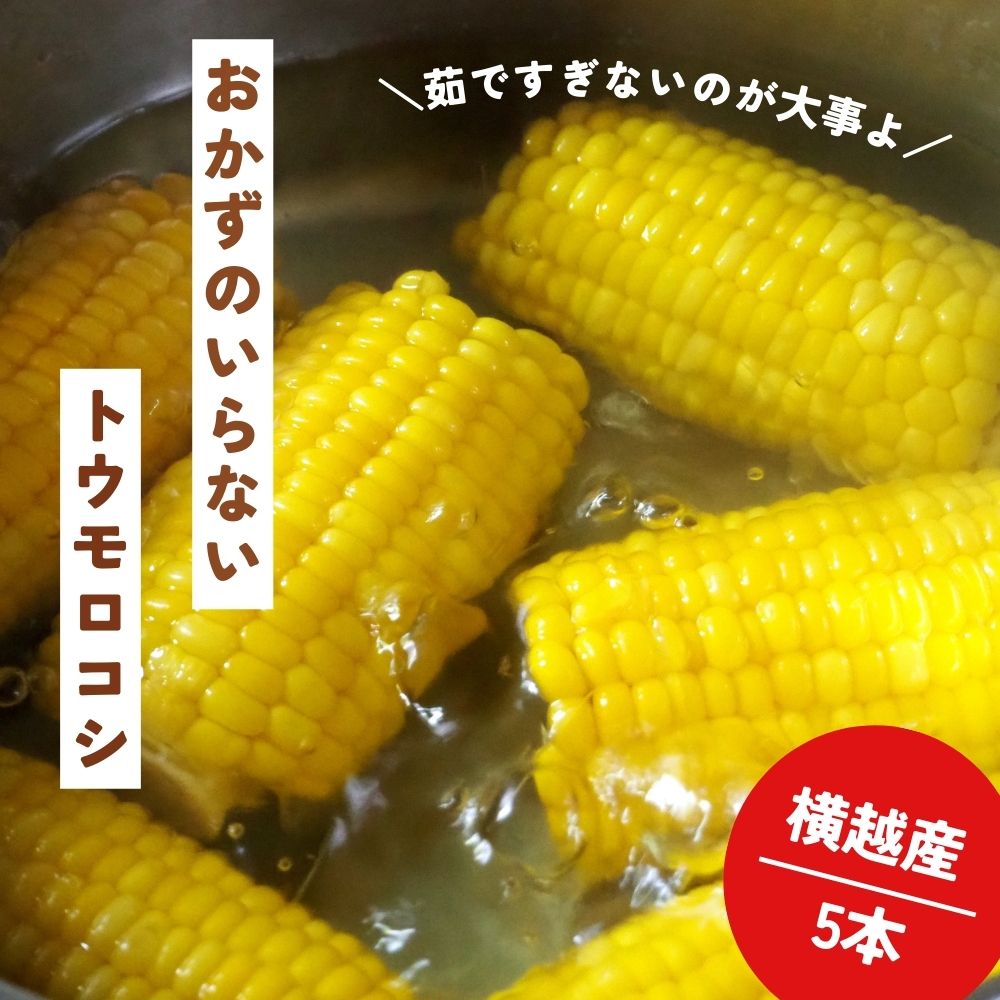 横越産とうもろこし5本セットが送料無料