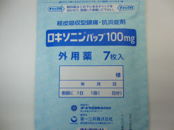 ロキソニンパップ１００ｍｇ