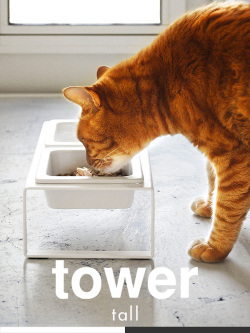 山崎実業,タワーシリーズ,tower,ペットフード,猫,フードボール,フードボウル,食器台,おしゃれ,シンプル,北欧,ペット,餌皿,4744,4745