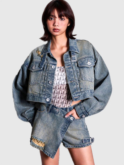 GYDA ジェイダ デニム ジャケット belt collar ダメージ ショート
