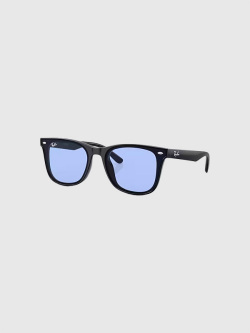 レイバン,サングラス,Wayfarers,ウェイファーラー,インスパイア,Ray-Ban,フラットレンズ,RB4391D,601,80,ray,ban