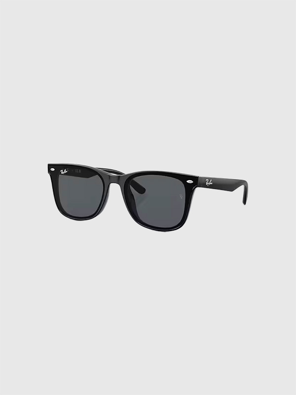 レイバン,サングラス,Wayfarers,ウェイファーラー,インスパイア,Ray-Ban,フラットレンズ,RB4391D,601,87,ダークグレー,ray,ban