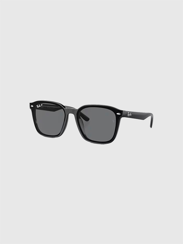 レイバン,サングラス,Ray-Ban,偏光,フラットレンズ,RB4392D,601,81,ダークグレー,プラスチックフレーム,ray,ban