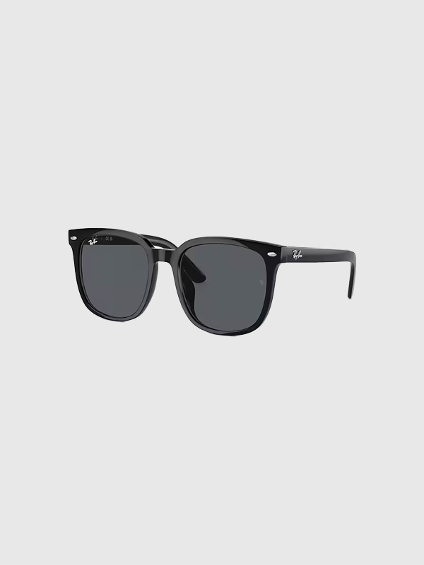 レイバン,サングラス,Ray-Ban,フラットレンズ,RB4401D,601,87,S57,ダークグレー,スクエアレンズ,ローブリッジフィット,ray,ban