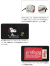 Manhattan,Portage,マンハッタンポーテージ,ショルダーバッグ,レディース,1401L,PEANUTS,21