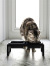 山崎実業,タワーシリーズ,tower,ペットフード,猫,フードボール,フードボウル,食器台,おしゃれ,シンプル,北欧,ペット,餌皿,4744,4745