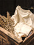 FULLCOUNT,フルカウント,Tシャツ,半袖,メンズ,レディース,綿,100,おしゃれ,かっこいい,Flatseam,Heavyweight,T,Shirt,日本製,5222