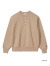 Healthknit,ヘルスニット,ヘンリーネック,スウェット,トレーナー,裏起毛,シンプル,無地,クラシック,長袖,パック入り,54005
