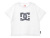 DC,SHOES,ディーシ―,シューズ,Tシャツ,キッズ,半袖,女の子,男の子,ユニセックス,ジュニア,綿,20,KD,STAR,WIDE,SS,7126J097