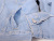 TOMMY,HILFIGER,DENIM,トミー,ヒルフィガー,デニム,ジャケット,デニムジャケット,メンズ,レディース,ユニセックス,大きいサイズ,78E2267