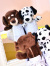 NICI,ニキ,ペンケース,ライオン,高校生,大容量,おしゃれ,かわいい,小物入れ,レディース,メンズ,アクセサリー,ポーチ