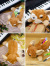 NICI,ニキ,ペンケース,高校生,大容量,おしゃれ,かわいい,小物入れ,レディース,メンズ,アクセサリー,ストリート,ポーチ,筆箱,NIKI