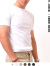 AVIREX,アビレックス,Tシャツ,Vネック,クルーネック,半袖,メンズ,レディース,シンプル,定番,おしゃれ,インナー,デイリーウェア