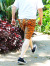 COOKMAN,chef,pants,クックマン,シェフパンツ,ショートパンツ,メンズ,レディース,綿,おしゃれ,かわいい,231-21984