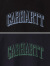Carhartt,WIP,カーハート,Tシャツ,レディース,メンズ,大きめ,半袖,綿100%,おしゃれ,かわいい,シンプル,ブランド,大きいサイズ,I031025