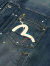 EVISU,エヴィス,ジーンズ,デニムジャケット,大黒,スプラッシュ,プリーツ,ブラウス,Gジャン,SPLASH,DAICOCK,PRINTED,2ESHTM6DJ1010