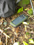 ROOT,CO,ルートコー,iPhone14,14Pro,ケース,アイフォン14シリーズ,GRAVITY,Shock,Resist,Case,Elk,軽量,バンパータイプ,GSE-4313-4314