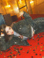 GYDA,ジェイダ,デニム,パンツ,ハイウエスト,LEG,2WAY,ECO,FUR,サイド,レース,アップ,フレア,デニム,パンツ,072562413301
