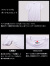 Hanes,BEEFY,ロングスリーブ,ヘインズ,ビーフィー,長袖,ポケット,Tシャツ,メンズ,レディース,ユニセックス,ロングTシャツ,H5196