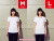 Hanes,ヘインズ,Tシャツ,ジャパンフィット,Vネック,レディース,半袖,無地,白,ホワイト,綿100%,2枚組,HW5125-997