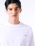 LACOSTE,ラコステ,Tシャツ,アウトライン,クロック,メンズ,レディ―ス,ユニセックス,シンプル,おしゃれ,TH5582-99