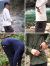 ROOT,CO,ルートコー,Tシャツ,長袖,ポケット,アウトドア,裾ドローコード,バックポケット,UTILITY,BACK,POCKET,PUBL-4416