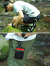 ROOT,CO,ルートコー,ショーツ,ショートパンツ,メンズ,レディース,膝上,アウトドア,スポーツ,AMPHIBIA,Waterside,Shorts,PAWS-4380