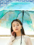 Wpc,傘,ビニール傘,インクアートアンブレラ,Wpc.,雨傘,ビニール傘,長傘,おしゃれ,かわいい,ブランド,シンプル,SNS,PT-063,PT-062