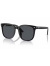 レイバン,サングラス,Ray-Ban,フラットレンズ,RB4401D,601,87,S57,ダークグレー,スクエアレンズ,ローブリッジフィット,ray,ban