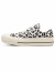 CONVERSE,ALL,STAR,コンバース,スニーカー,ハイカット,ローカット,メンズ,レディース,おしゃれ,かわいい,オールスター,レオパード