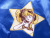 通販,うる星やつら,ラムちゃん,グッズ,スカジャン,高橋留美子,サンデー,諸星あたる,SUKAJAN,USSJ-001
