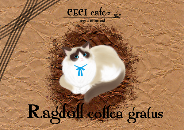 猫×コーヒー（cecicafe）ラグドール・コフェーア・グラートゥス200g