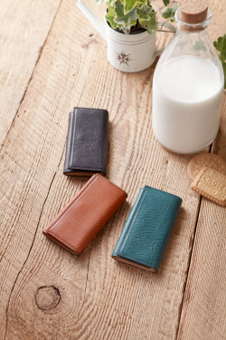 �|���^�L�A�[���B ���b�^���S���L�[�P�[�X