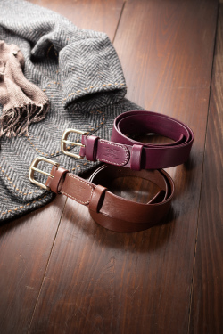 マエストロ　【数量限定】