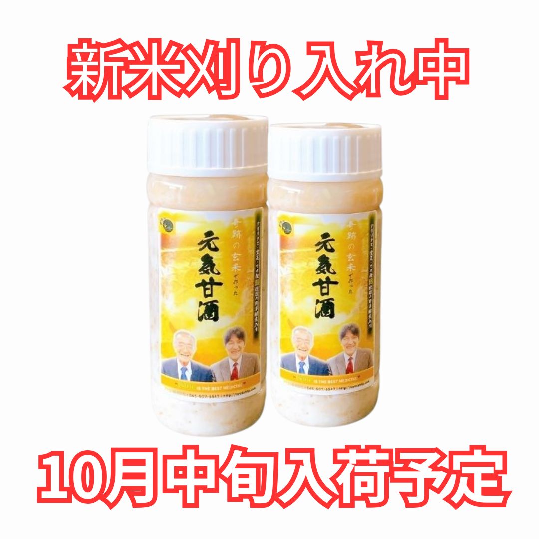 奇跡の玄米でつくった食べる元気甘酒（250g）2本セット