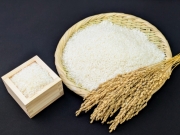 精米料金