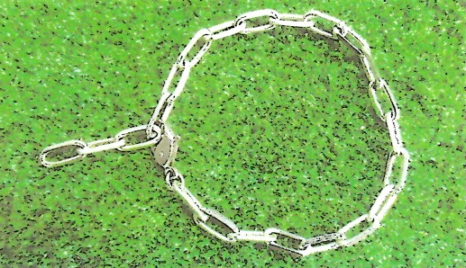 量子波リストバンド （量子波リストバンド テラヘルツパワー