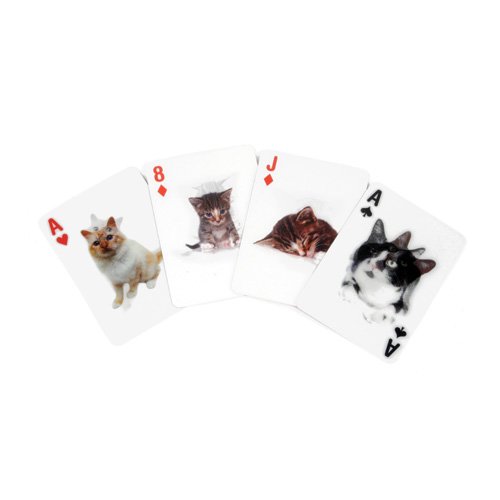 3D Cat Card