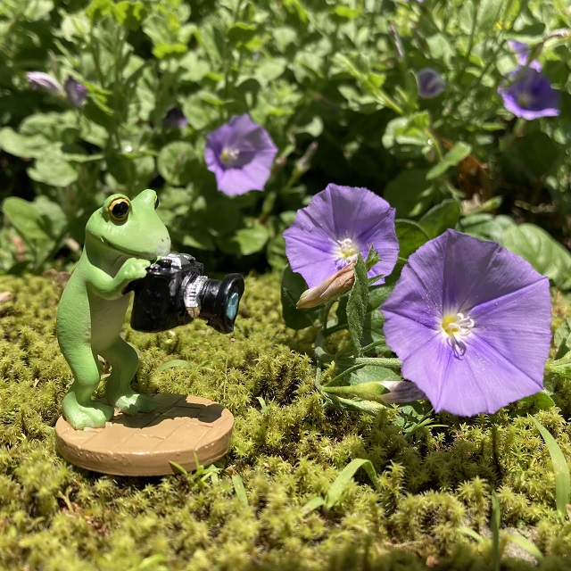 コポーカメラでパシャリ１