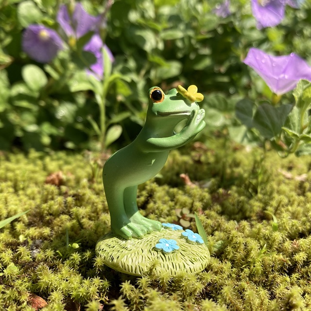 コポーちょうちょとカエル１