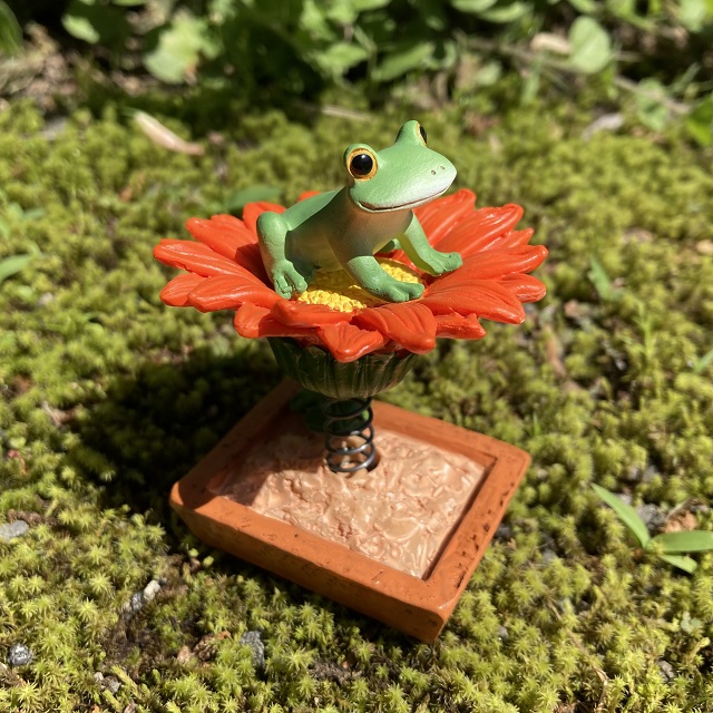 コポーガーベラの上でゆらゆら