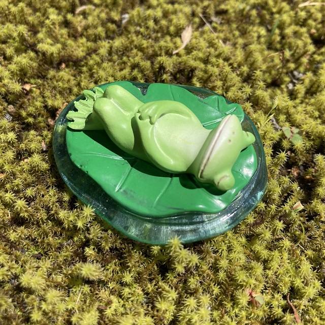 コポー葉っぱの上でひと眠り１