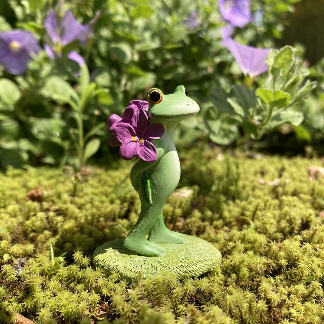 コポースミレとカエル１