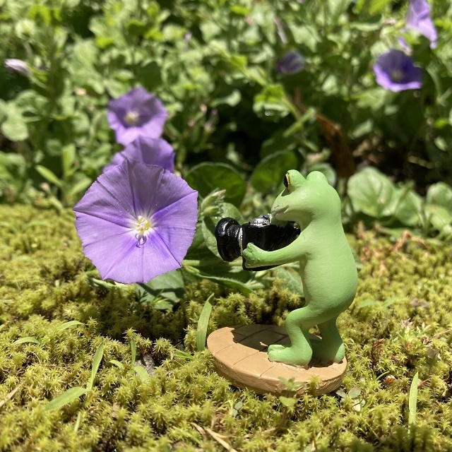コポーカメラでパシャリ２
